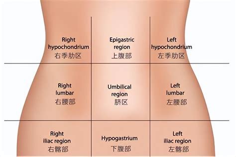 胃陣痛|經常胃痛原因是什麼？一圖解構胃痛位置及症狀